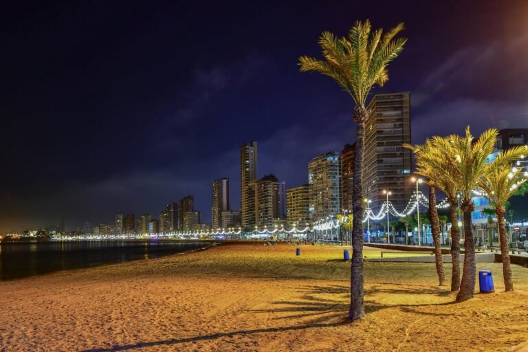 Scenic nighttime view of Benidorm's illuminated skyline along the beach with palm trees.