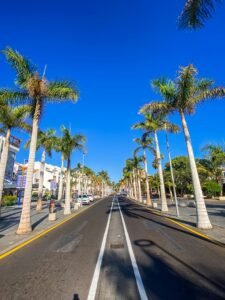 Vibrant palm-lined street in Playa de las Américas, Tenerife, on a clear day.