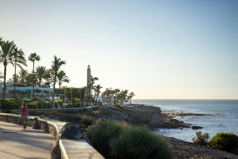 A serene coastal path with palm trees and a lighthouse under a clear sky.