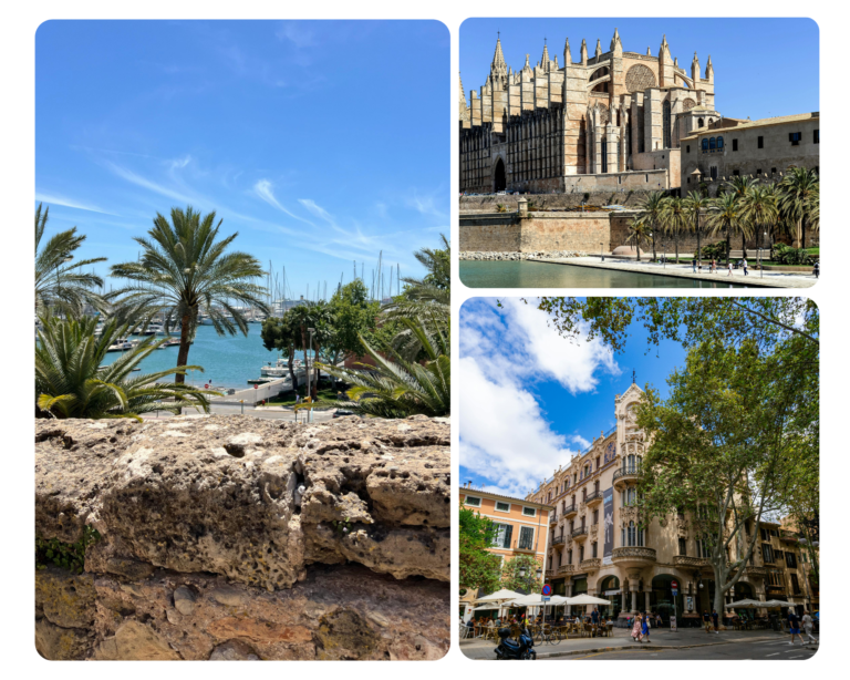 Palma Marina, Palma Cathedral and a street in Palma